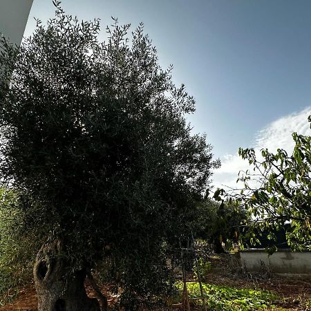 דירות קסטלאנה גרוטה Casa Bianca Relax מראה חיצוני תמונה