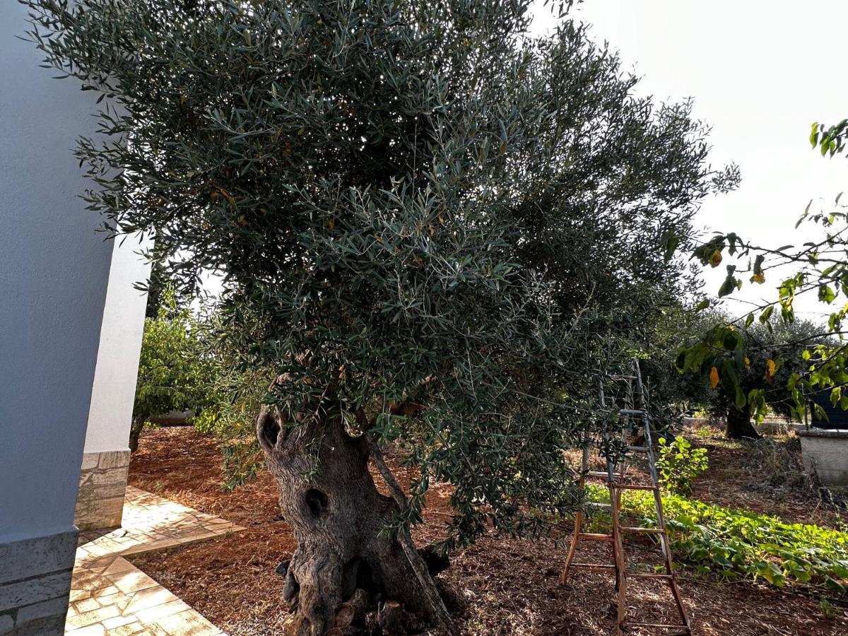 דירות קסטלאנה גרוטה Casa Bianca Relax מראה חיצוני תמונה